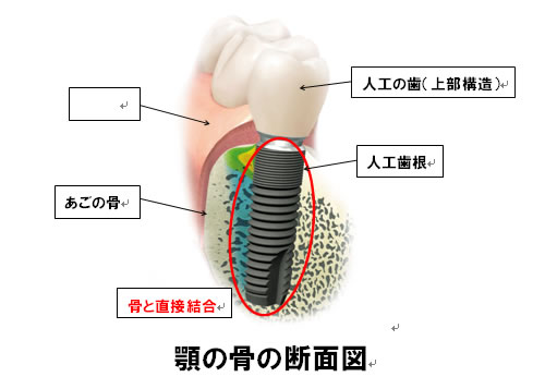 治療相談・診査・診断